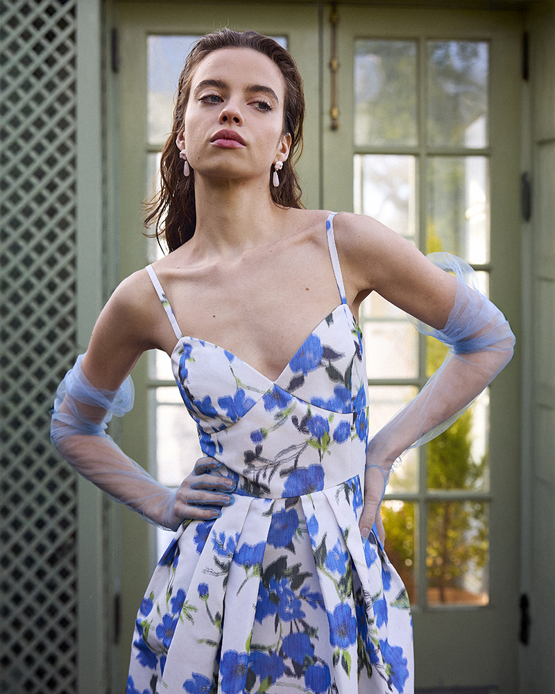 DELPHINE